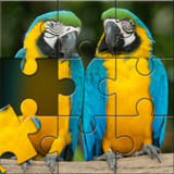 Birds Jigsaw Puzzle Games1.0.6_rowtechapk.com