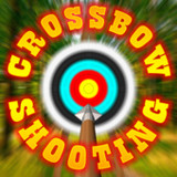 Crossbow shooting gallery. Shooting simulator4.1_rowtechapk.com