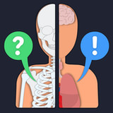 Anato Trivia -  Quiz Anatomy3.3.1_rowtechapk.com