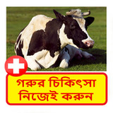 গরুর চিকিৎসা ~ Cows Treatment1.0_rowtechapk.com