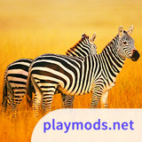 The Zebra<span>(Unlimited Resources)</span>1.1.5_rowtechapk.com