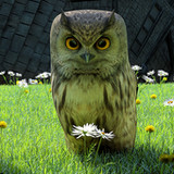 The Magical Typewriter1.42.0_rowtechapk.com