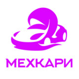 Женское такси Мехкари11.1.0-202103121503_rowtechapk.com
