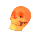 Elsevier SurviveMed1.8.1_rowtechapk.com