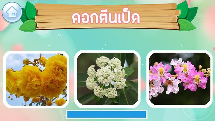 เกมส์ทายชื่อดอกไม้ไทย 2566 screenshot image 2_Popularmodapk.com