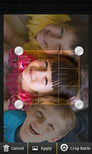 Spider  Stickers for WA screenshot image 1_Popularmodapk.com