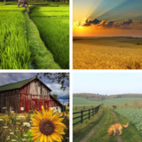 Farming Wallpaper: HD images, Free Pics download2.0.42_rowtechapk.com