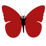 Butterfly Garden18_rowtechapk.com