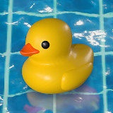 Placid Plastic Duck Simulator<span>(Free Download)</span>0.9.62_rowtechapk.com
