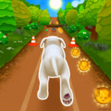 Pet Run - Puppy Dog Game(Large currency)1.4.12_rowtechapk.com