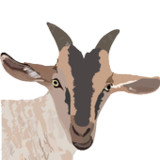 My Goat Manager - Farming app1.4.1_rowtechapk.com