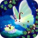 Flutter Starlight<span>(Free Shopping)</span>1.632_rowtechapk.com
