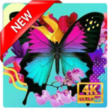 Butterfly Wallpaper1.9_rowtechapk.com