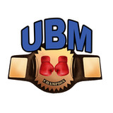 Ultimate Boxing Manager1.04.5_rowtechapk.com