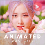 Rose Animated WASticker1.2_rowtechapk.com