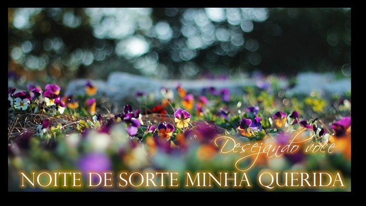 Boa Noite Amor - Good Night screenshot image 13_Popularmodapk.com