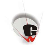 G.D. Goenka Public School Sirsa2.8_rowtechapk.com