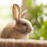 1 picture and a few words9.1_rowtechapk.com