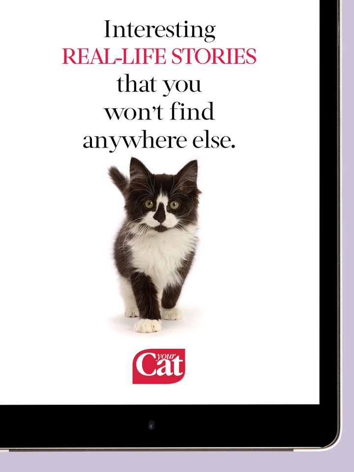 Your Cat Magazine screenshot image 10_Popularmodapk.com