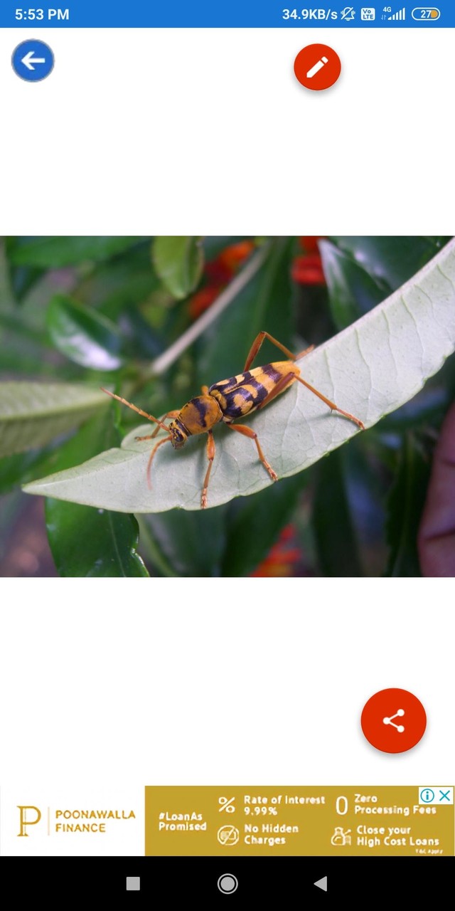 Disassembly 3D: Demolition(All contents for free) screenshot image 8_Popularmodapk.com