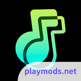 Offline Music Player- Weezer<span>(Premium Unlocked)</span>3.4.0_rowtechapk.com