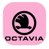 OCTAVIA VPN4.0.0_rowtechapk.com