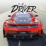 Real Driver Legend of the City0.4.1_rowtechapk.com