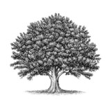 OAK Fitness7.33.0_rowtechapk.com