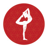 Zenko Yoga5.3.3_rowtechapk.com