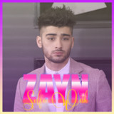 Selfie With ZAYN1.0.99_rowtechapk.com