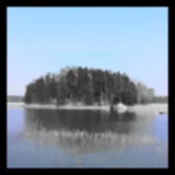 Otter Island<span>(Free download)</span>1.20.550-patreon_rowtechapk.com
