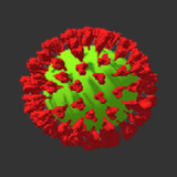 Pandemic 20201.3.5_rowtechapk.com