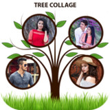 Tree Photo Frames & Collage1.3_rowtechapk.com