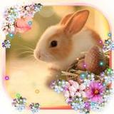 Easter Bunny Live wallpaper1.9_rowtechapk.com