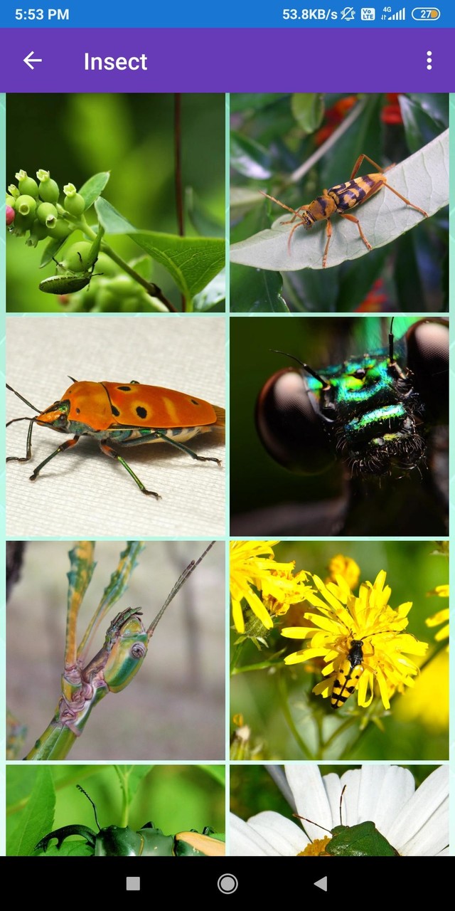 Disassembly 3D: Demolition(All contents for free) screenshot image 7_Popularmodapk.com