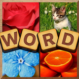 4 Pics Puzzle: Guess 1 Word24.0802.00_rowtechapk.com