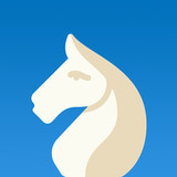 Chess Time Live - Online Chess1.0.258_rowtechapk.com