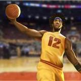 Astonishing Basketball Career3.7.51_rowtechapk.com
