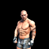 Fight Arena Online1.46_rowtechapk.com