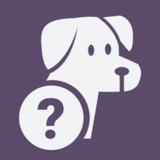 Quiz School | Dog breeds2.0.5_rowtechapk.com