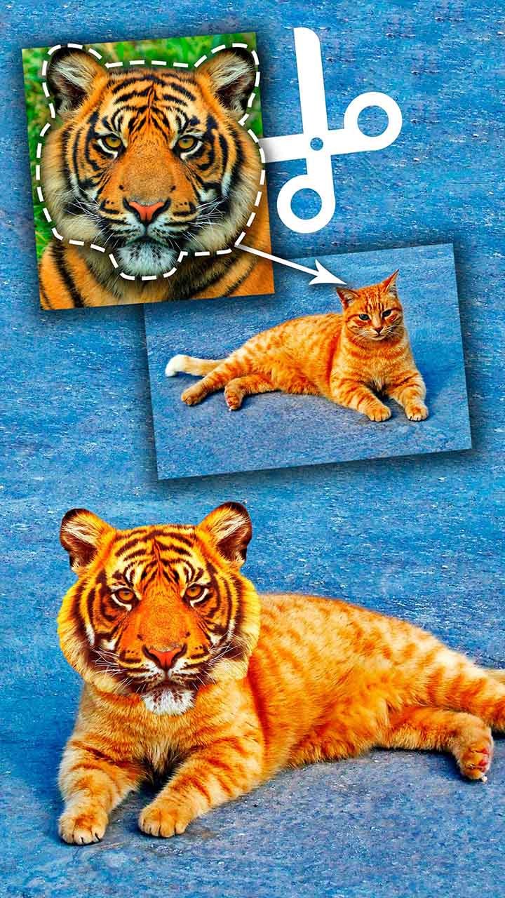 Idol lovers(Unlimited Diamonds,coins) screenshot image 3_Popularmodapk.com