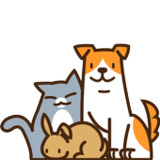 반동라-반려동물,고양이,강아지,유기견후원3.3.3_rowtechapk.com