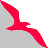 Air Arabia (official app)7.1.2_rowtechapk.com