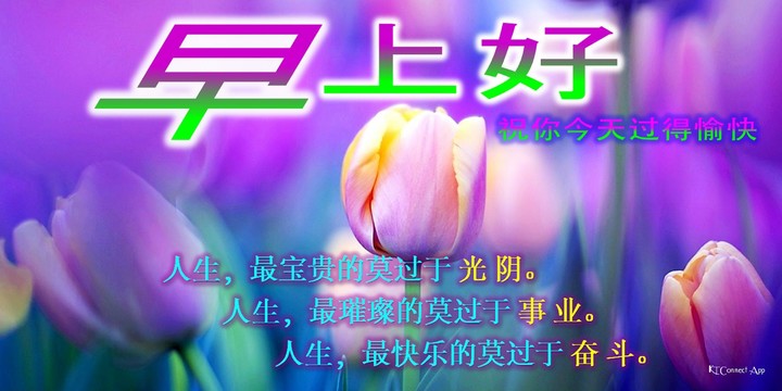 早上好，下午好，晚安 screenshot image 2_Popularmodapk.com