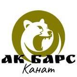AK BARS-KANAT4.2.11_rowtechapk.com