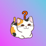 Какой ты котик1.0.0_rowtechapk.com