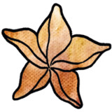 Karambola<span>(Unlock full content)</span>1.6.8_rowtechapk.com