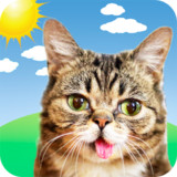 Weather BUB5.4.4_rowtechapk.com