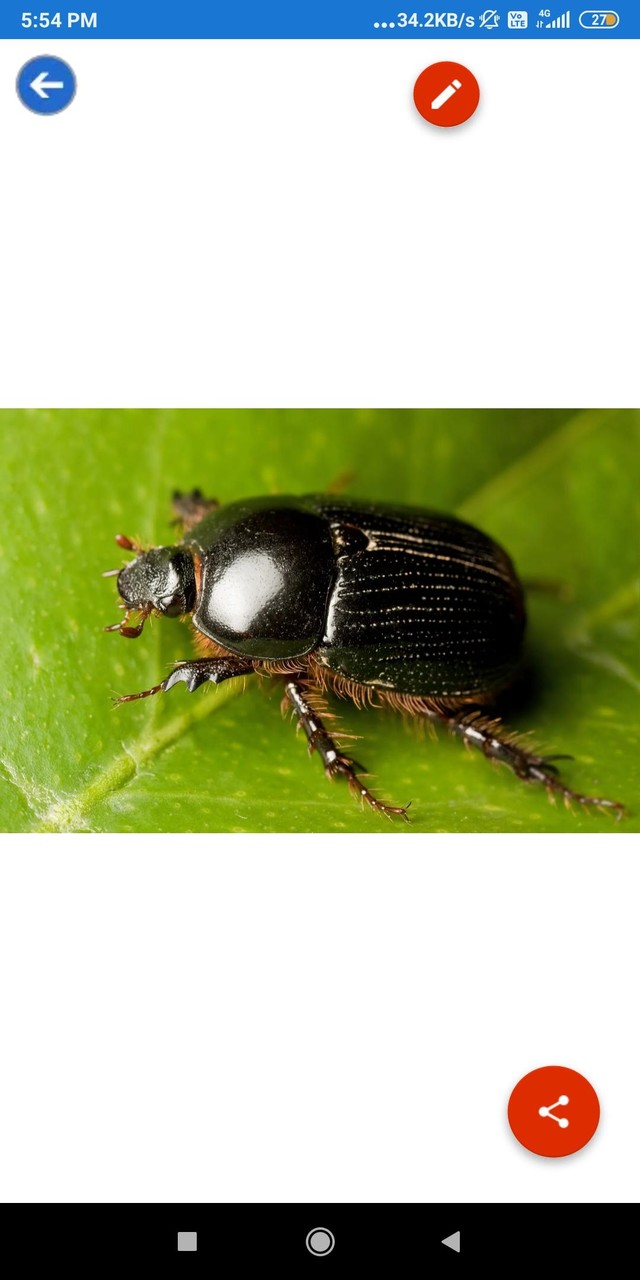 Disassembly 3D: Demolition(All contents for free) screenshot image 14_Popularmodapk.com