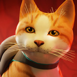 Alone Cat Stray Mobile1.0_rowtechapk.com